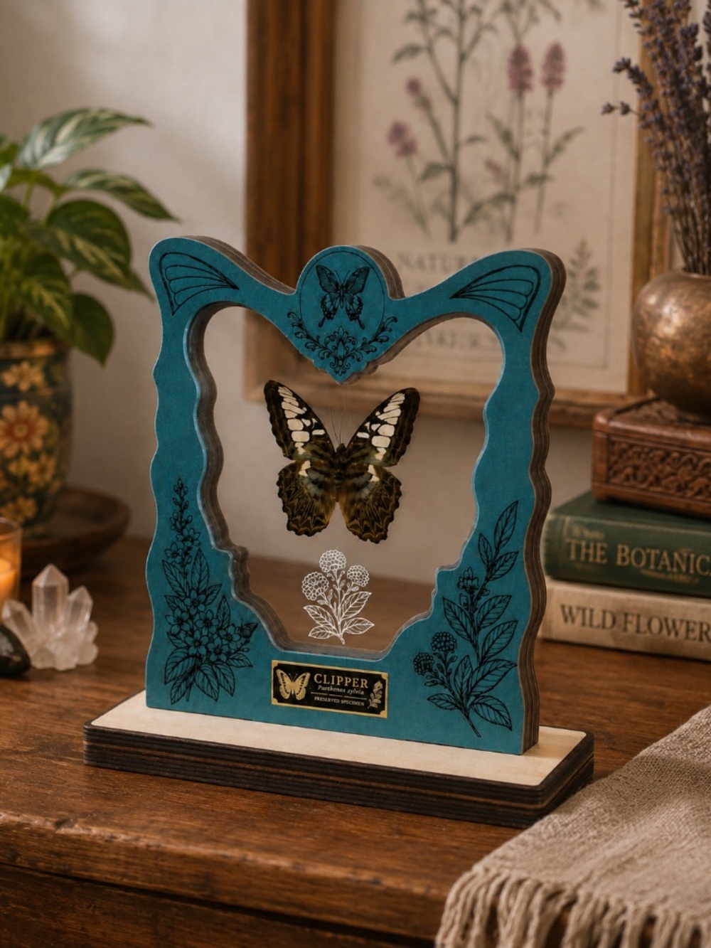 Clipper Butterfly Display, Turquoise Wood and Acrylic, 9 × 9 Inches